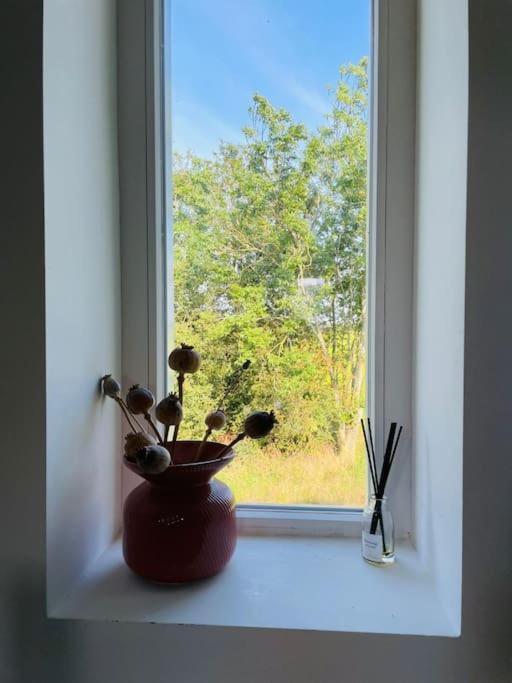 Cozy Appartment On The Farm ルーネン・アーン・デ・フェヒト エクステリア 写真