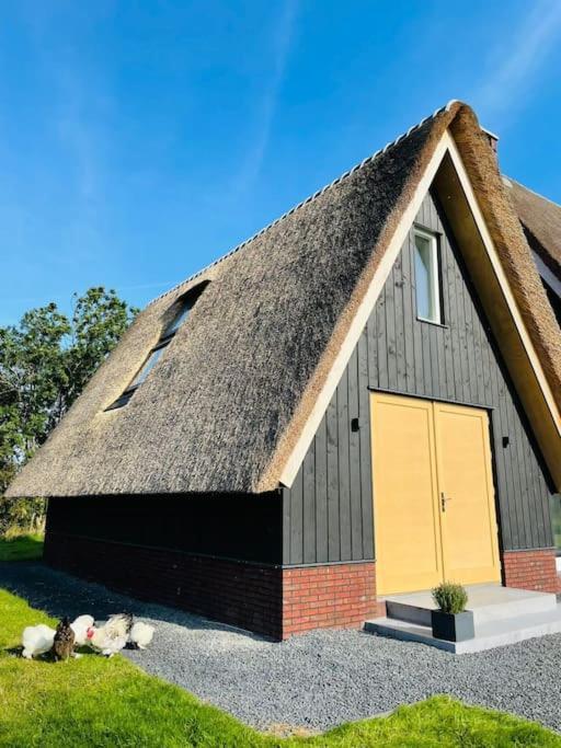 Cozy Appartment On The Farm ルーネン・アーン・デ・フェヒト エクステリア 写真