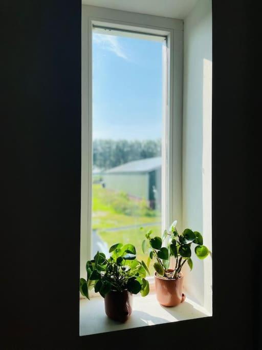 Cozy Appartment On The Farm ルーネン・アーン・デ・フェヒト エクステリア 写真